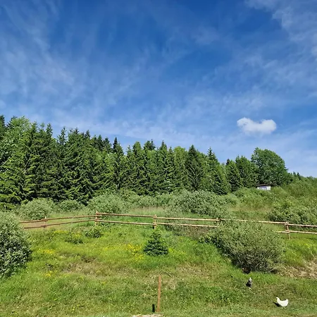 Les Montagnes De Apartment Saxel