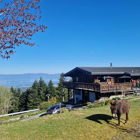 Les Montagnes De Appartement *